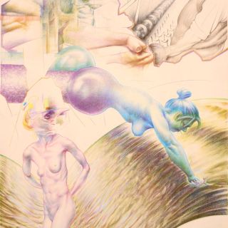   lotho 2022 coloured pencils on paperx70cm